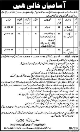 Women Development Department WDD Punjab Jobs 2024 Advertisement