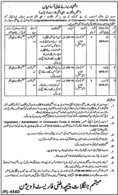 Forests Parks and Wildlife Department Chichawatni Jobs 2024 Advertisement