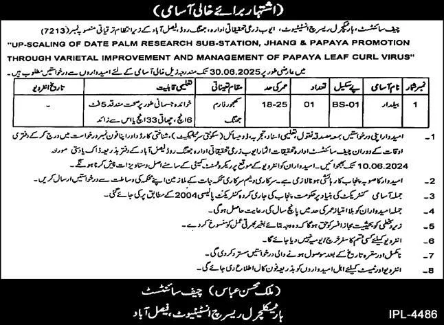 Horticultural Research Institute HRI Faisalabad Jobs 2024 Advertisement