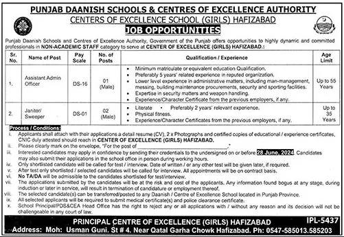 Punjab Daanish Schools Hafizabad Jobs Advertisement