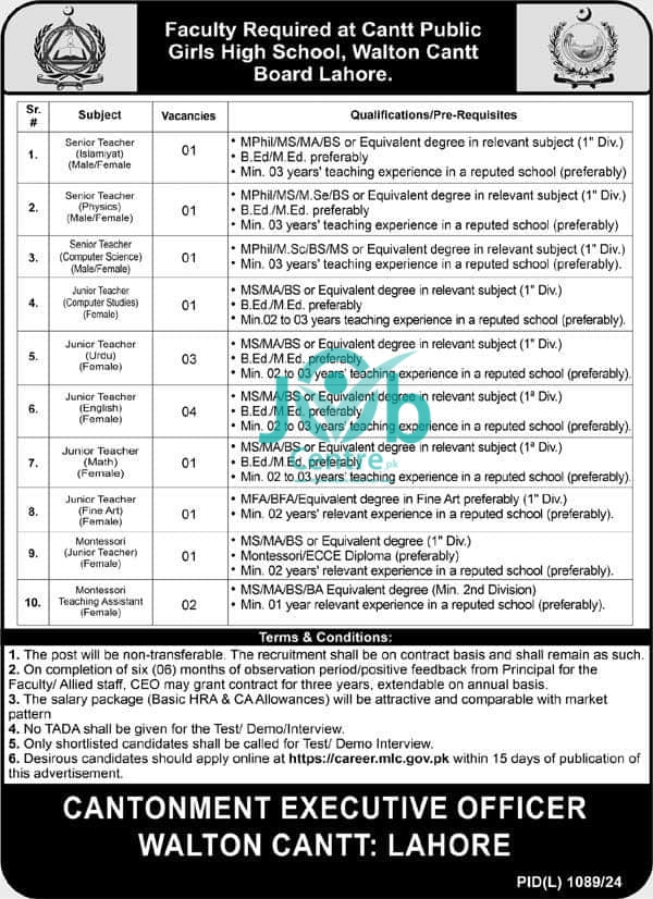 Cantt Public Girls High School Lahore Jobs 2024 Advertisement