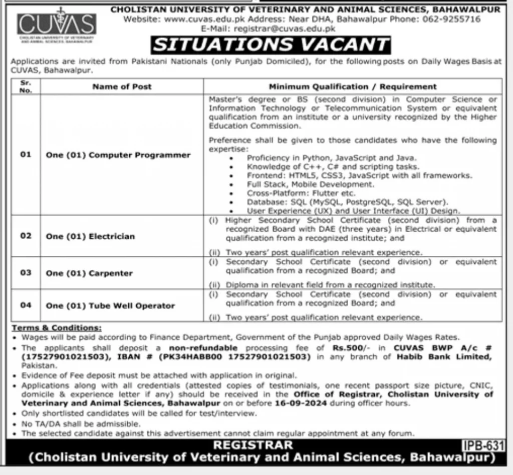 Cholistan University of Veterinary and Animal Sciences Bahawalpur CUVAS Jobs 2024 Advertisement