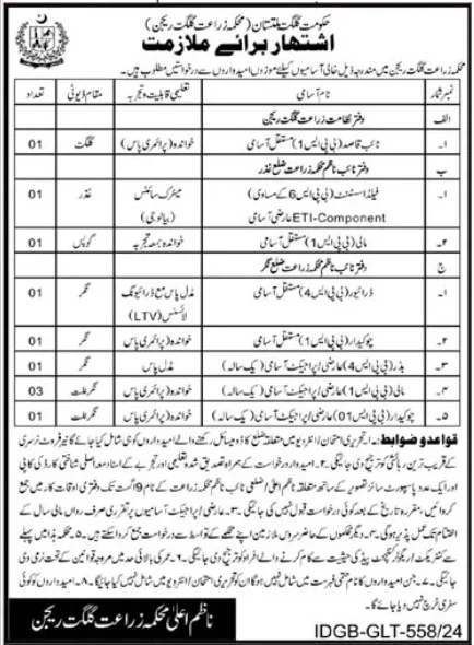 Latest Agriculture Department Gilgit Jobs 2024 Advertisement