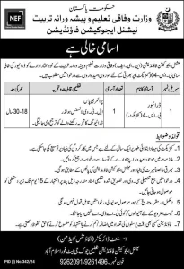 National Education Foundation NEF Jobs 2024