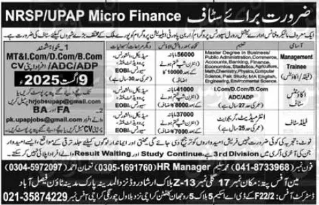 National Rural Support Programme NRSP Faisalabad Jobs 2025 Advertisement