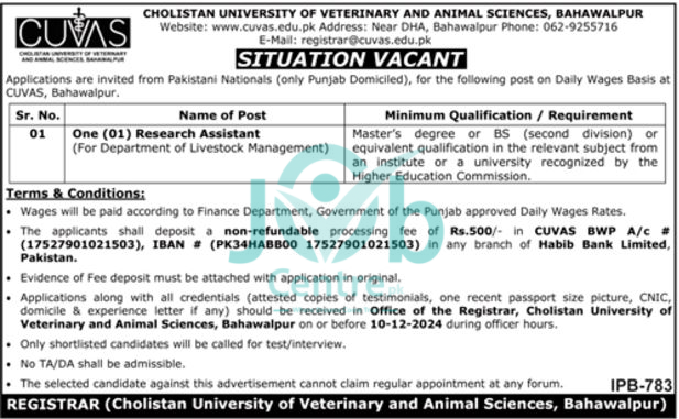 Cholistan University of Veterinary and Animal Sciences Bahawalpur CUVAS Jobs 2024 Advertisement