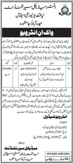 Liaquat University Hospital Hyderabad Jobs 2024 No 2