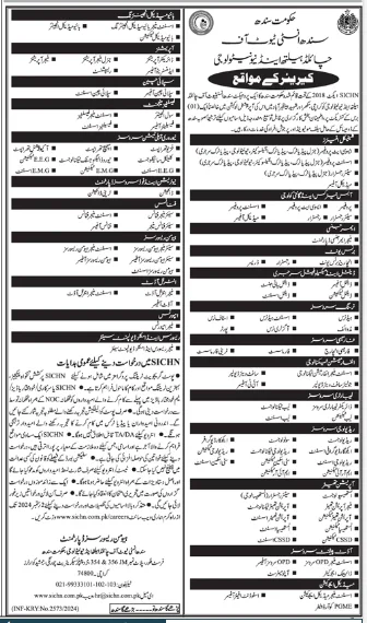 Sindh Institute of Child Health and Neonatology SICHN Jobs 2024