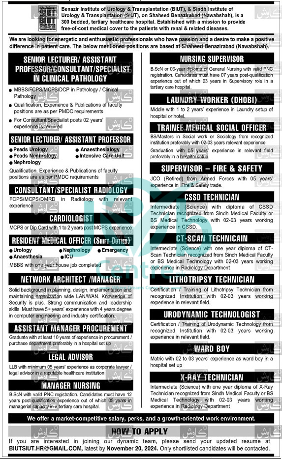 BIUTSIUT Nawabshah Jobs 2024 Advertisement