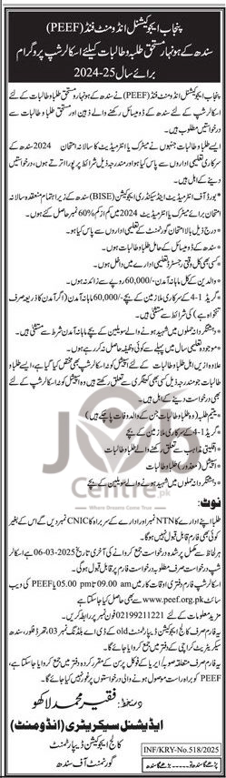 PEEF Scholarship 2025