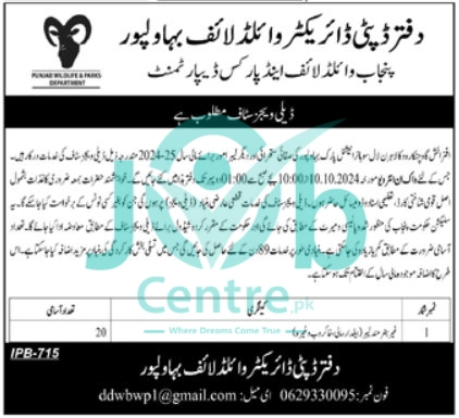 Punjab Wildlife & Parks Department Bahawalpur Jobs 2024 Advertisement