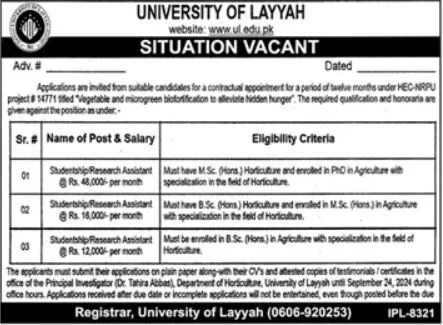 UL Jobs 2024 Advertisement