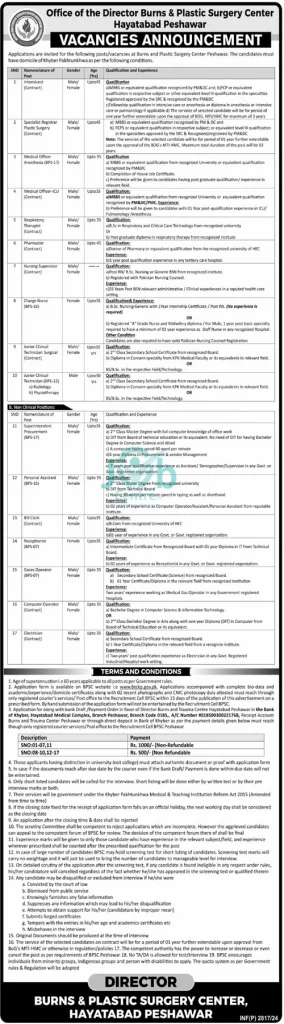 Burns and Plastic Surgery Center Peshawar Jobs 2024 Advertisement