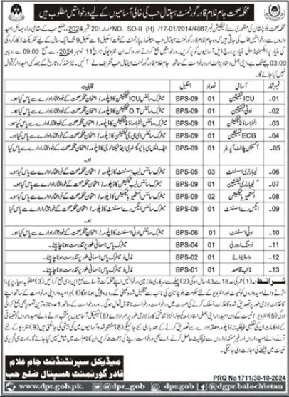 Health Department Hub Jobs 2024 Advertisement