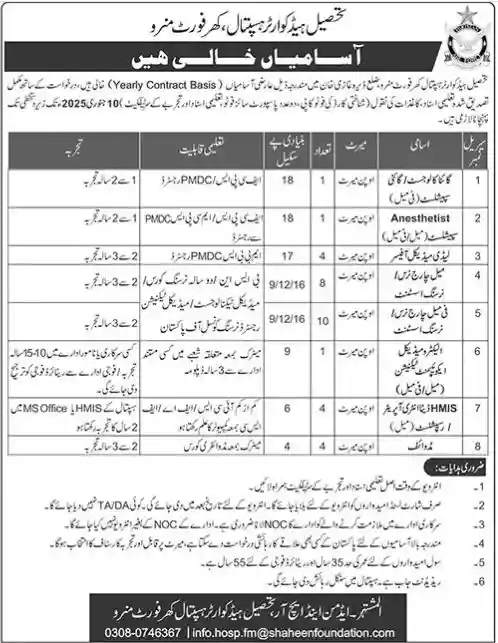 Tehsil Headquarter Hospital THQ Dera Ghazi Khan Jobs 2024 Advertisement