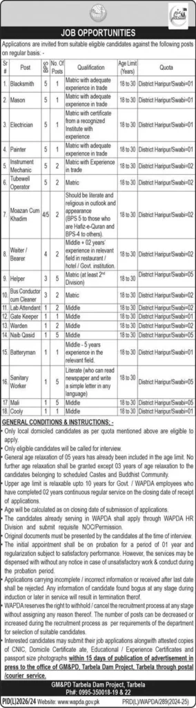 WAPDA Jobs January 2025 Advertisement