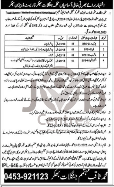 Mehkma Janglat Jobs 2025 Advertisement