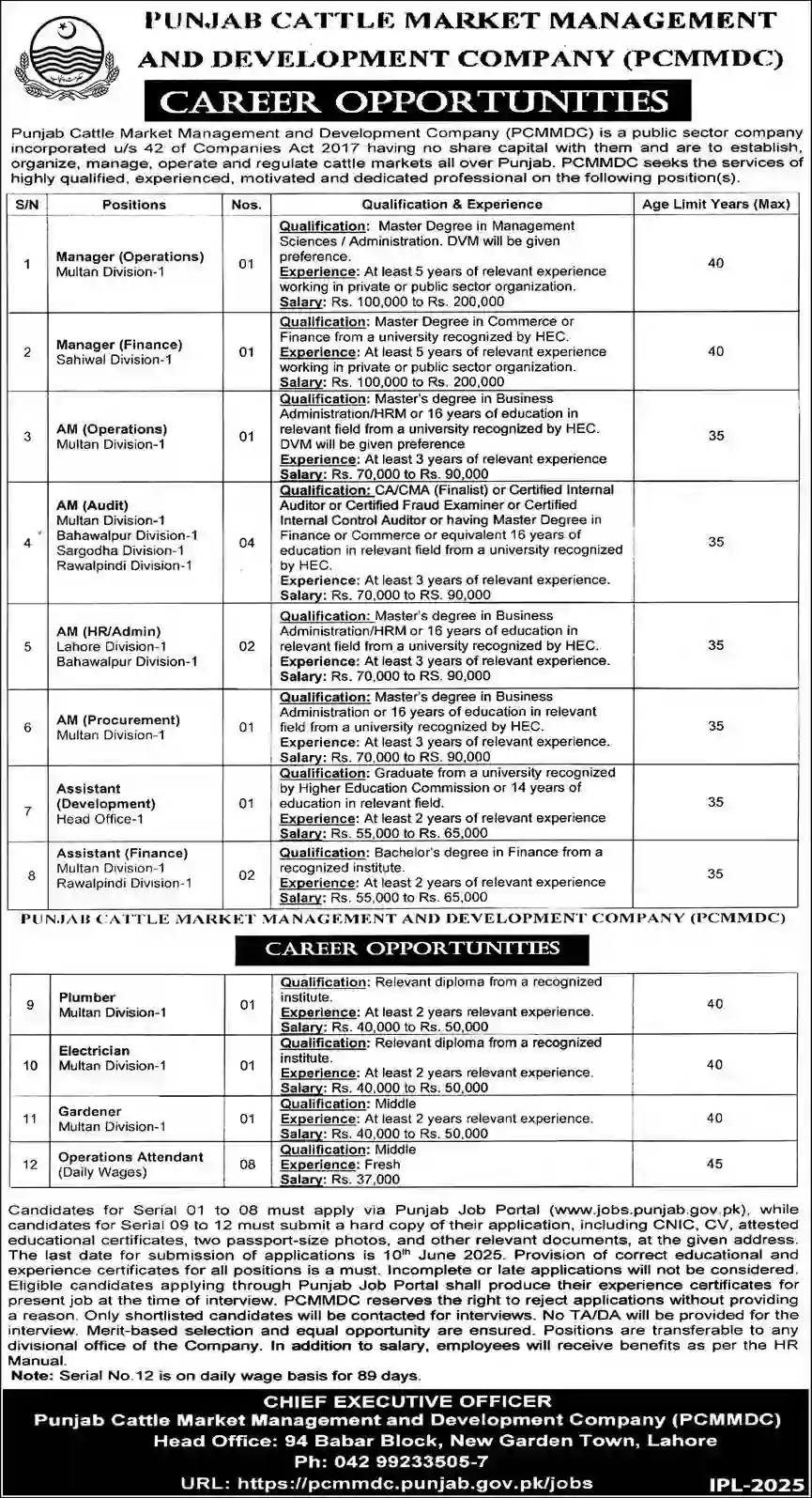 PCMMDC Lahore Jobs 2025 Latest Advertisement