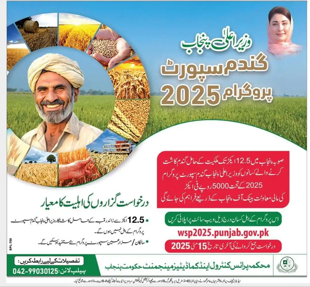 Check Punjab Wheat Support Program 2025 Advertisement