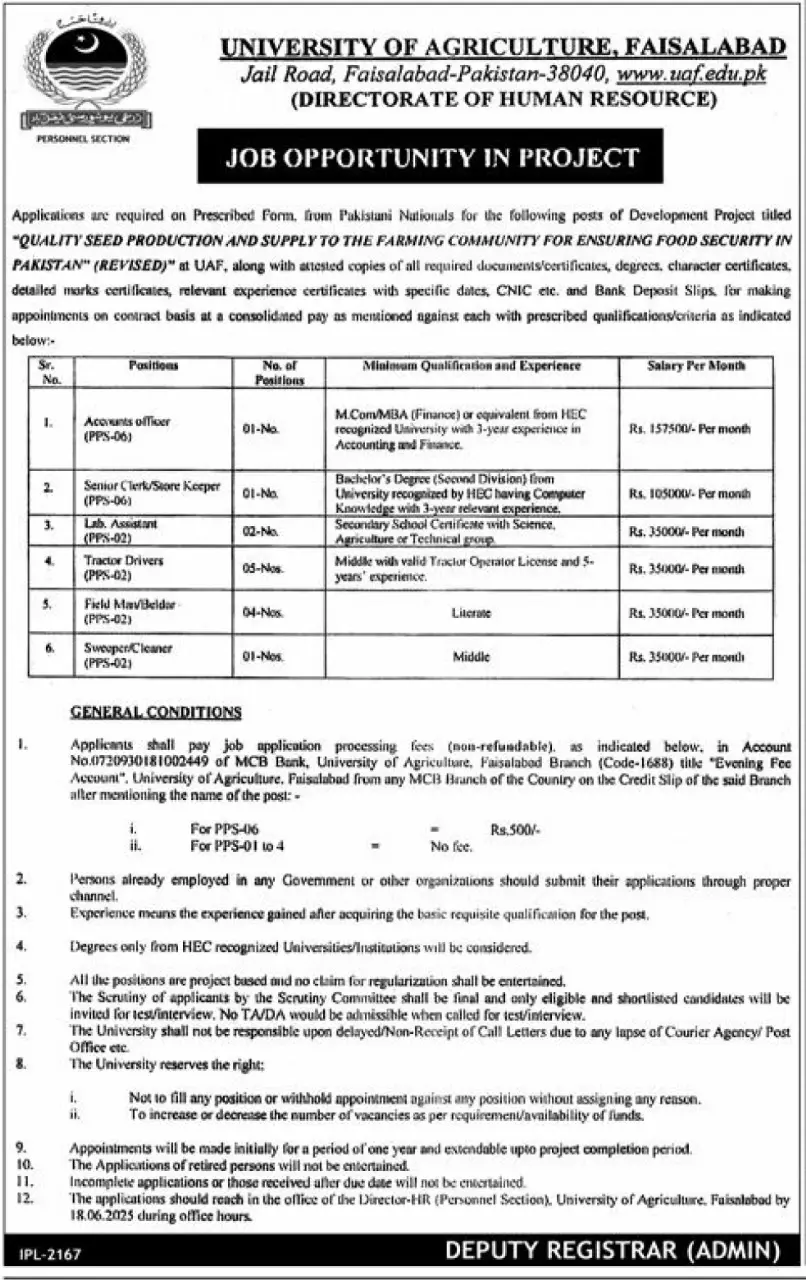 University of Agriculture Faisalabad Jobs 2025 Advertisement