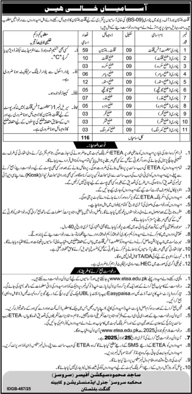Board Of Revenue BOR Gilgit Jobs 2025 Advertisement