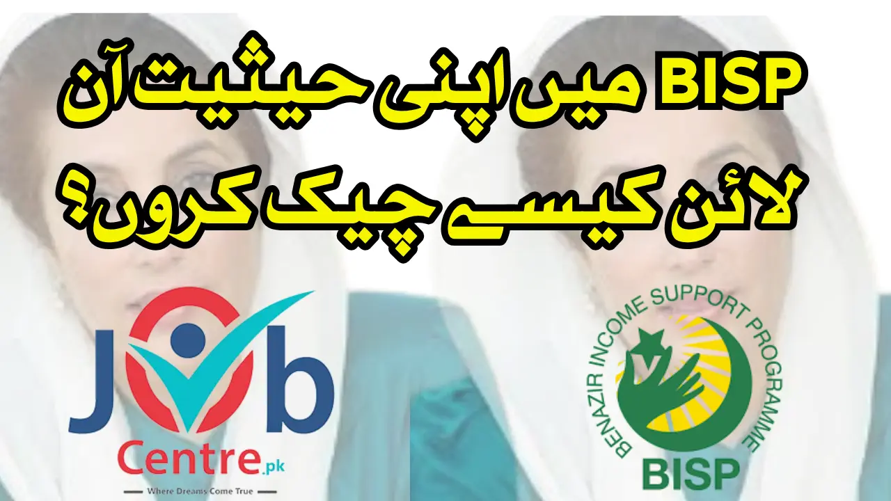 How to Use 8171 CNIC Check Online to Track Your BISP & Ehsaas Payment in 2025