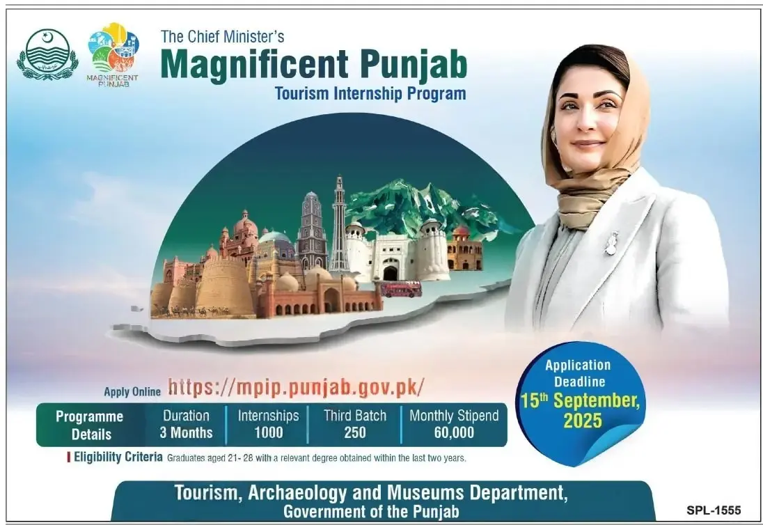 Mpip.punjab.gov.pk internship in 2025 Advertisement