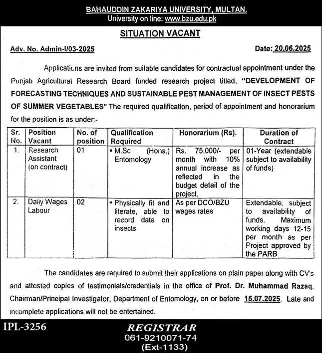 BZU Research Assistant Jobs 2025 Advertisement