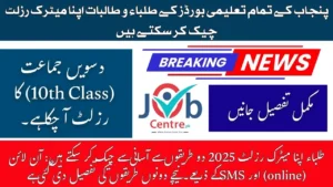 Punjab Boards Matric Result 2025