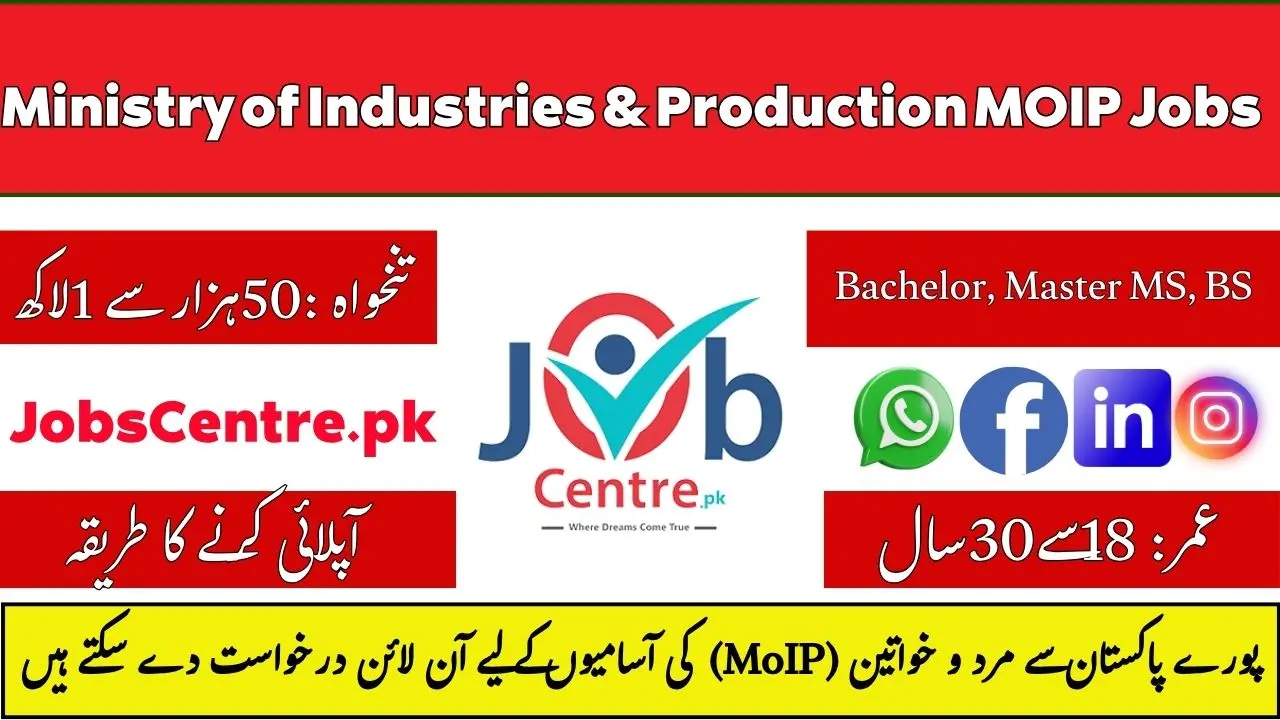 MOIP Jobs