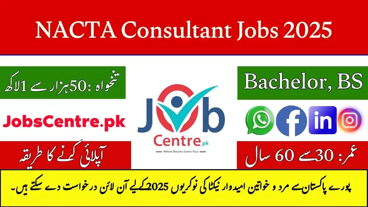 NACTA Consultant Jobs 2025