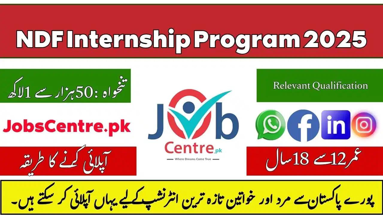 NDF Internship Program 2025