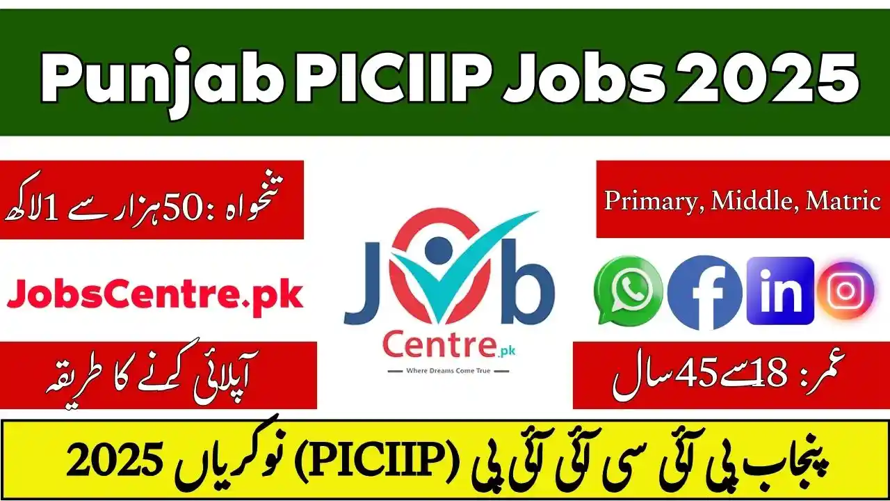 Punjab PICIIP Jobs 2025
