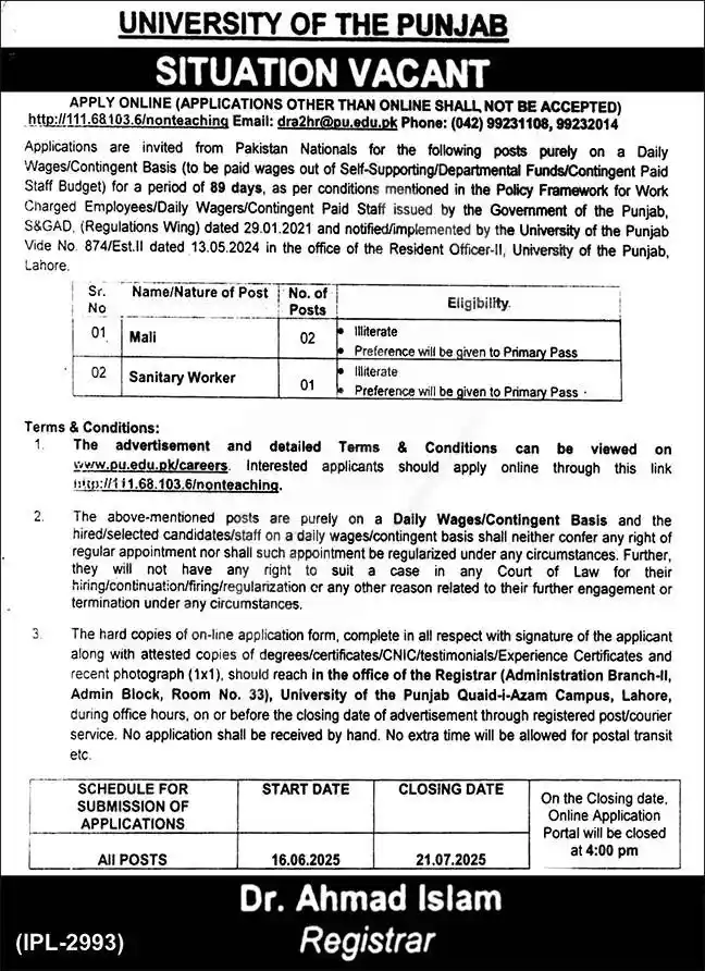 Punjab University Non-Teaching Jobs 2025 ad