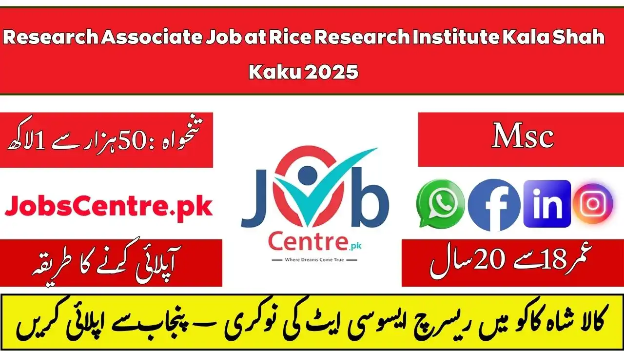 Research Associate Job at Rice Research Institute Kala Shah Kaku