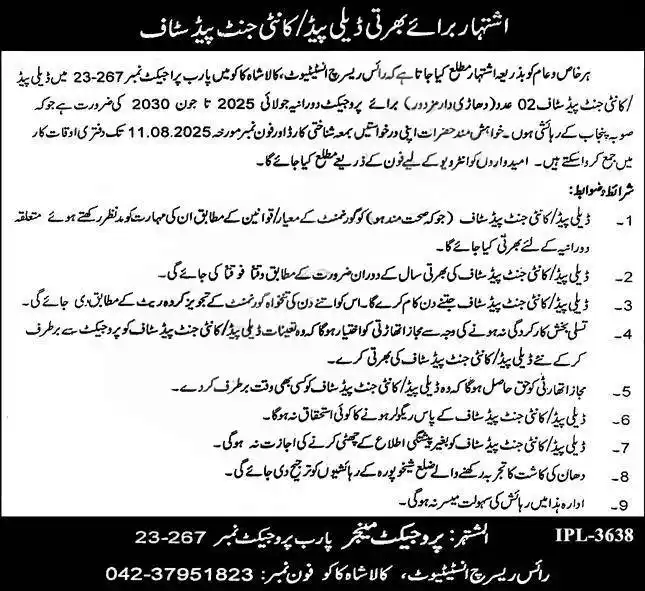 Rice Research Institute Kala Shah Kaku Jobs 2025 Advertisement