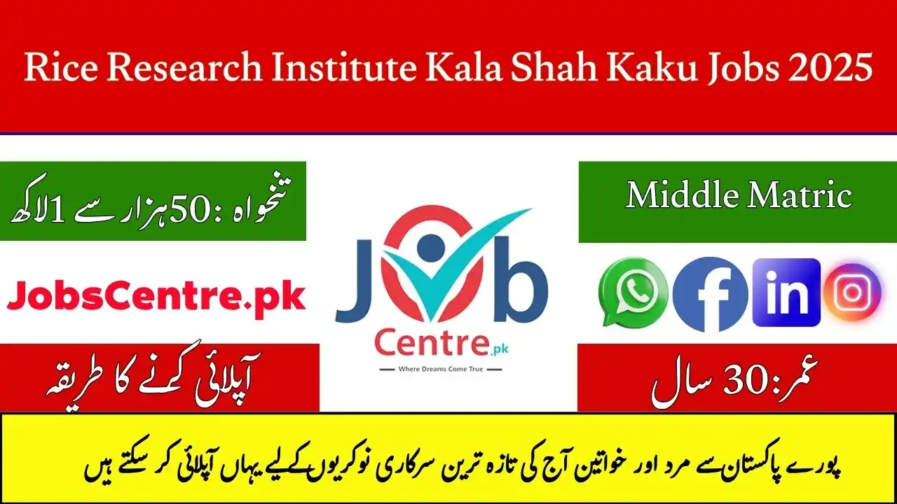 Rice Research Institute Kala Shah Kaku Jobs