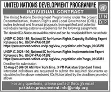 UNDP Jobs 2025 Advertisement