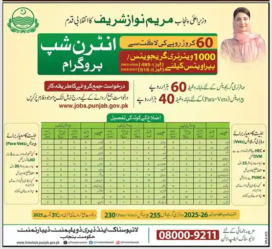 CM Punjab Paid Internship 2025 ad