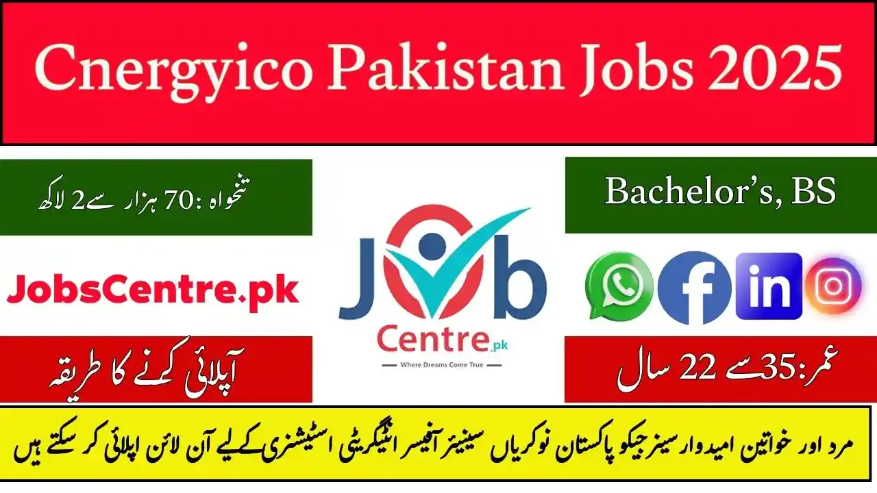 Cnergyico Pakistan Jobs Senior Officer Integrity Stationary 2025