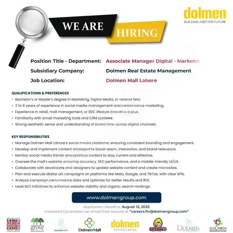 Dolmen Group Jobs August 2025 ad