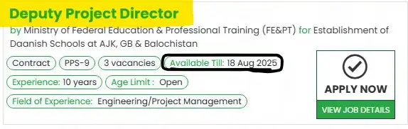 FE&P Teputy Project Director Jobs 2025 Advertisement