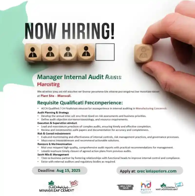 Maple Leaf cement Factory Ltd Jobs Manager Internal Audit & Systems 2025 ad