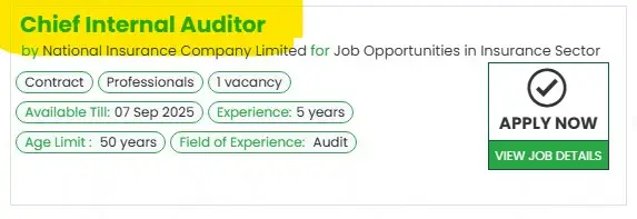 NICL Chief Internal Auditor Jobs 2025 Advertisement