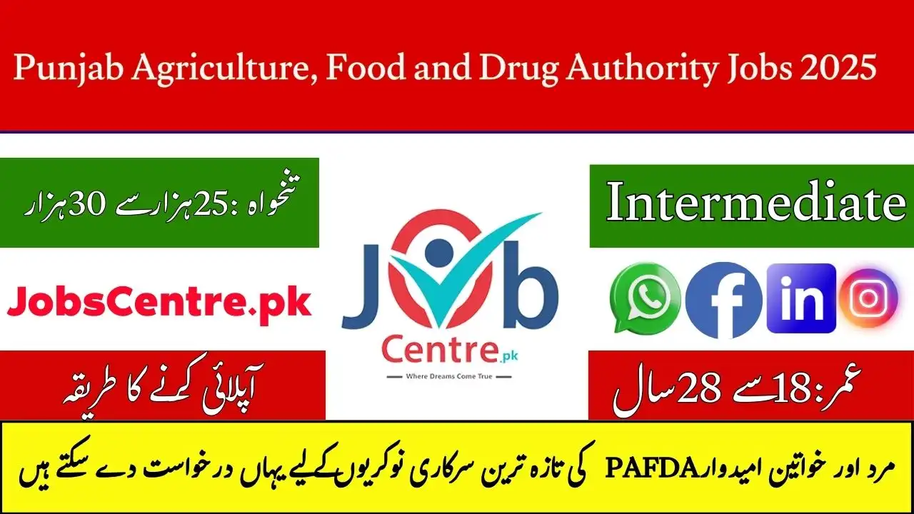 Punjab Agriculture, Food and Drug Authority Jobs
