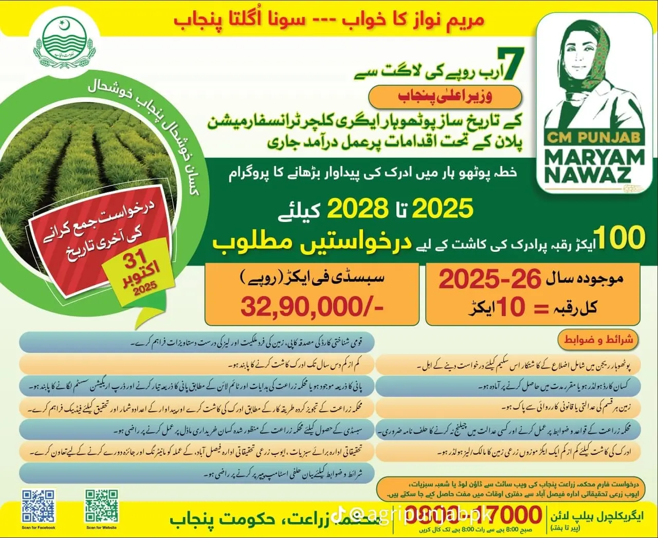 Punjab Ginger Support Program 2025 Advertisement
