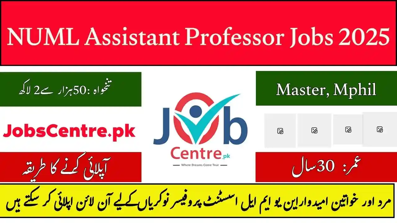 NUML Assistant Professor Jobs