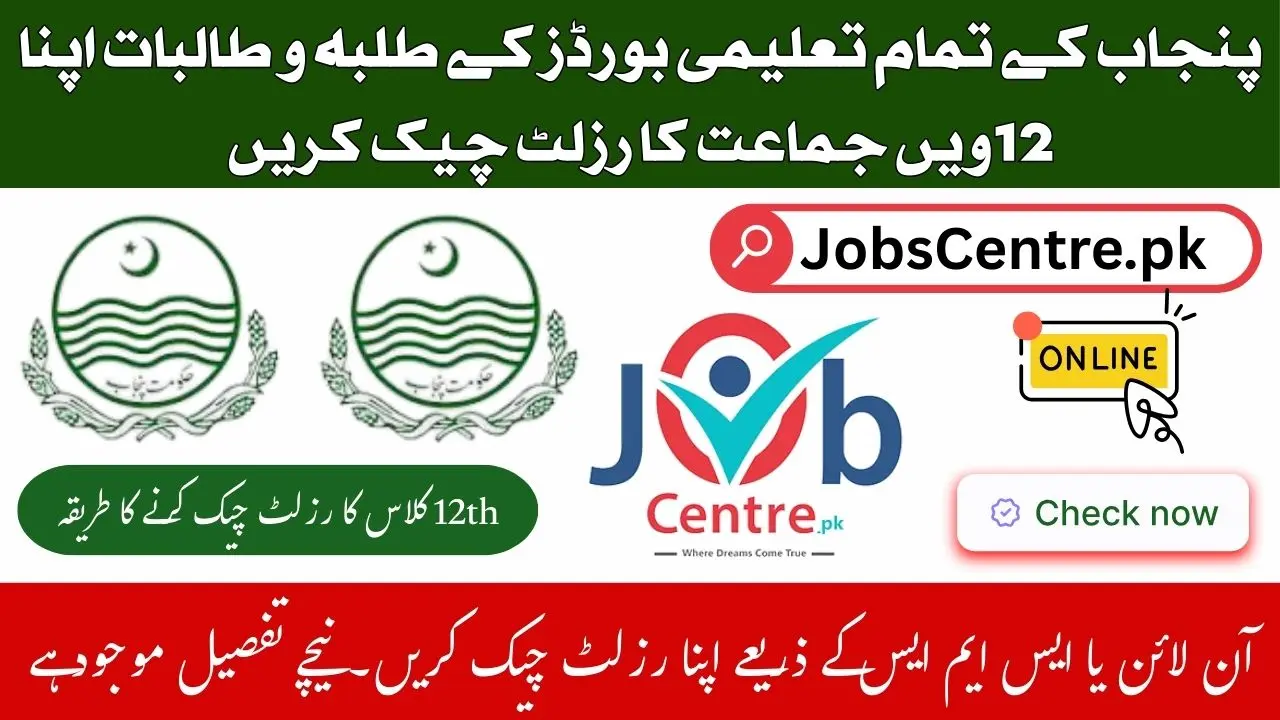 Punjab Boards 12th Class Result 2025