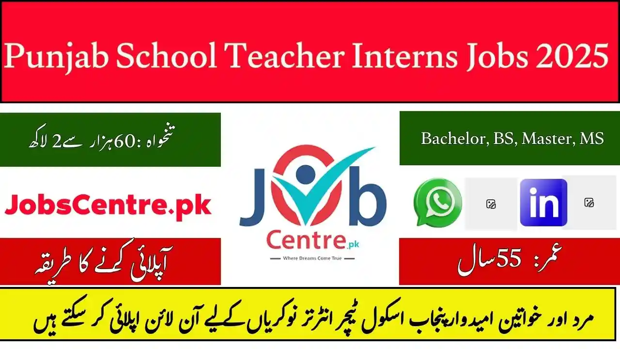 Punjab School Teacher Interns Jobs