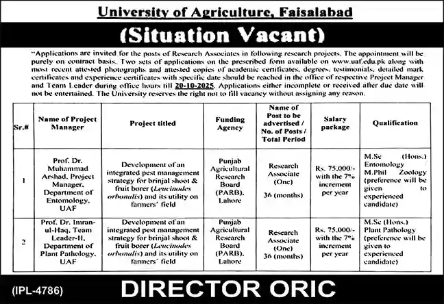 University of Agriculture Faisalabad Research Associate Jobs 2025 ad